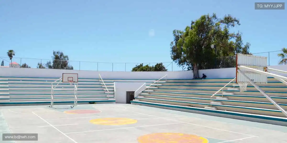 🏆 点燃你的热血时刻!顶级赛事,激情永不落幕!